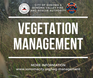 Vegetation Management