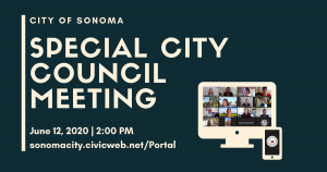 Special City Council Meeting June 12th