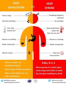 Heat Illness English