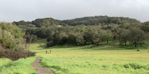 Montini Ranch Trail