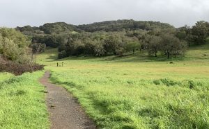 Montini Ranch Trail