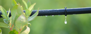 Drip Irrigation