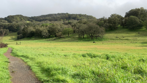 Montini Ranch Trail