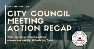 Council Action Recap