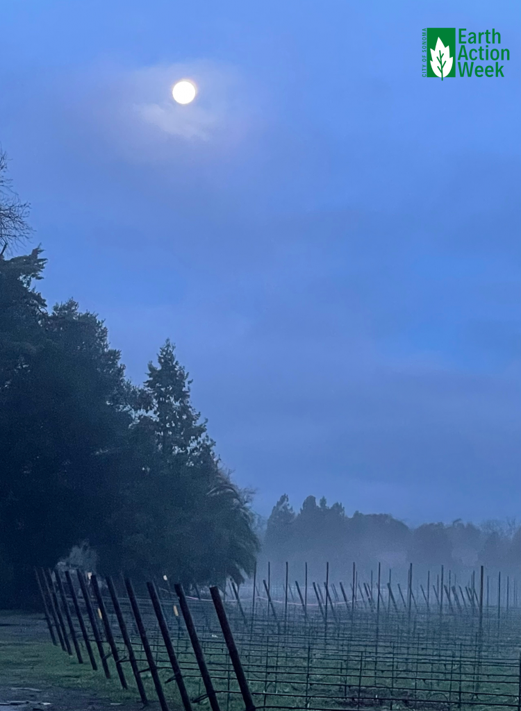 JuneK_Full Moon Morning 2