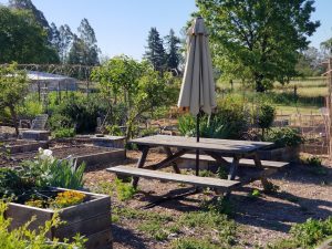 Picnic table