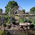 Scene from Sonoma Garden Park