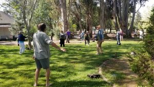 QiGong in the Park