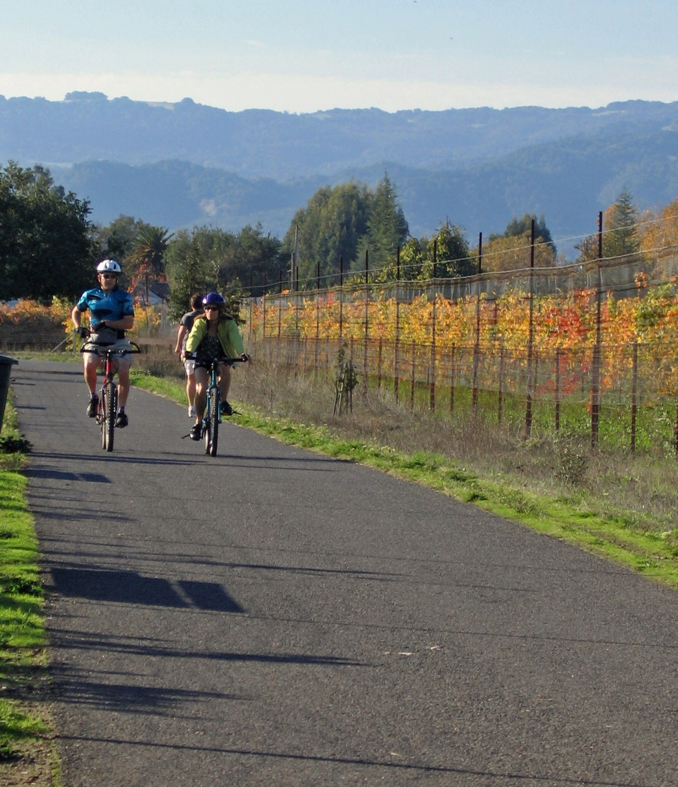 Cyclists on the city bike path