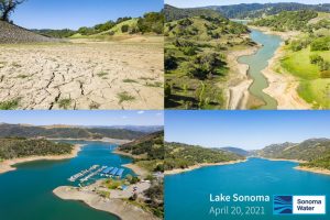 Lake Sonoma Levels