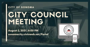 City Council Meeting, August 2nd