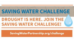 Saving Water Challenge