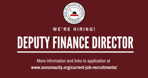 Deputy Finance Director