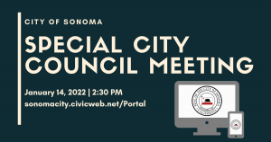 Special City Council Meetings