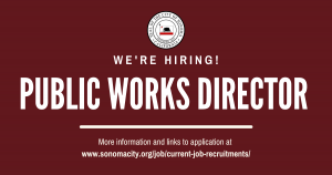 Public Works Director