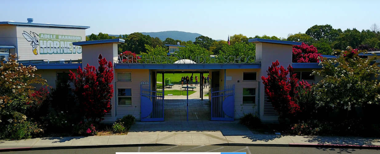 Entry gate to school campus with flowering trees.