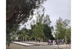 Photo of people playing bocce ball.