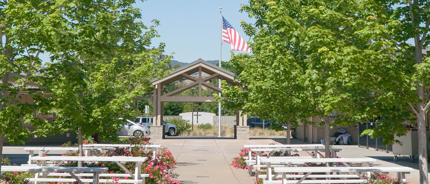 Benches with trees looking towards an entry gate.