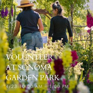 Volunteer at Sonoma Garden Park