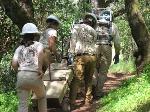 American Conservation Experience crews carrying stone for new stairs.