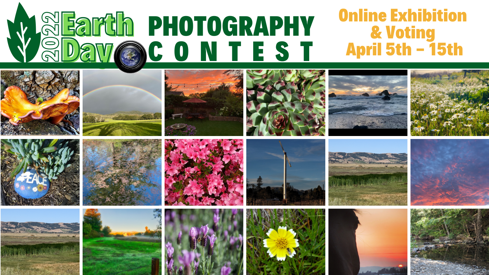 Graphic with small images of all photo contest entries