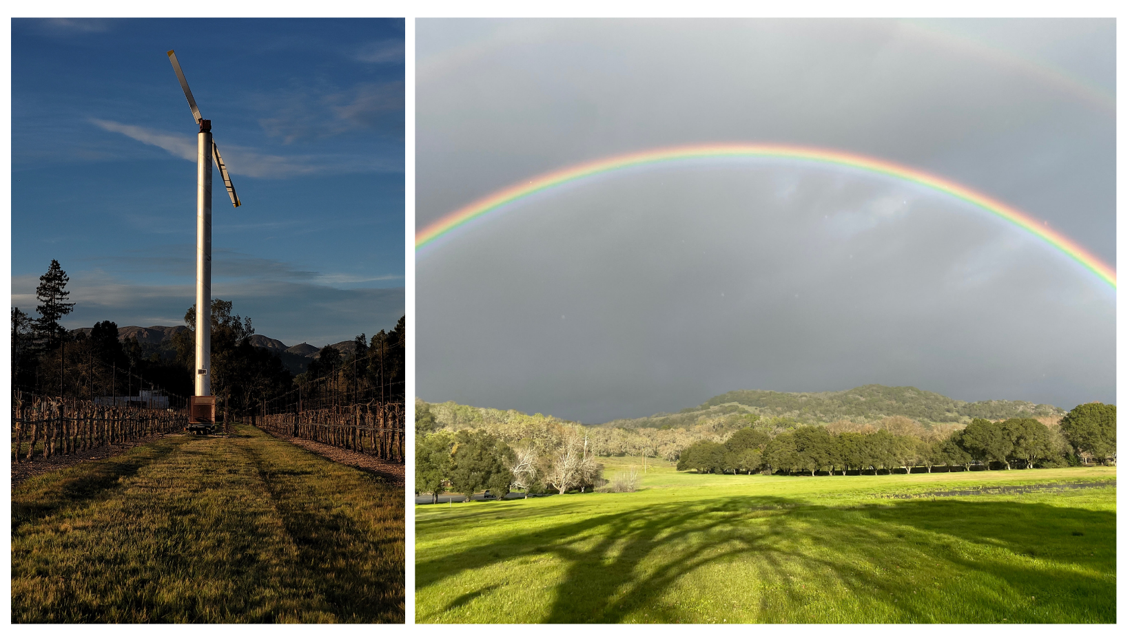 Two winning earth day photo contest entries