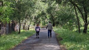 Fryer Creek Trail