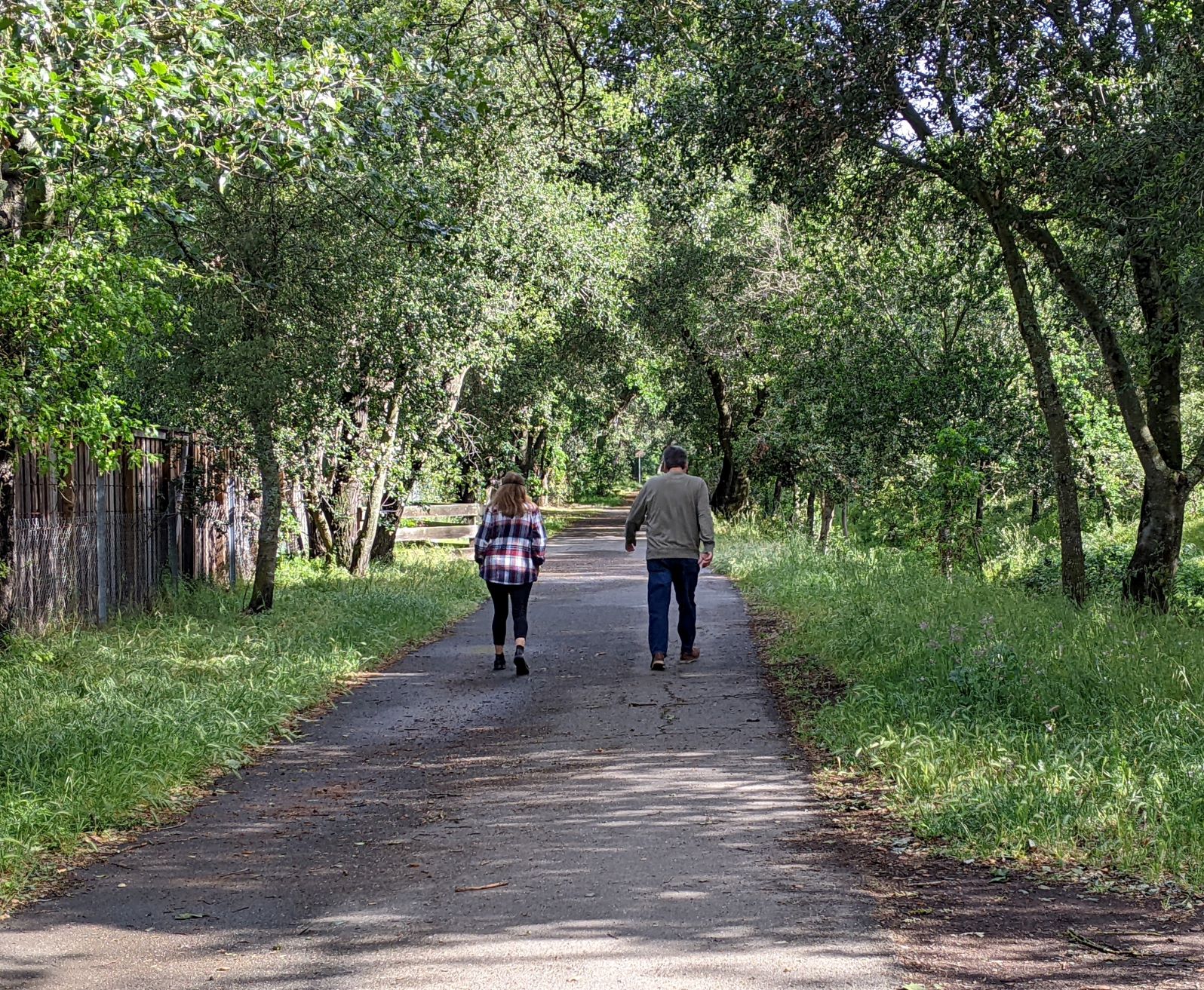 Fryer Creek Trail