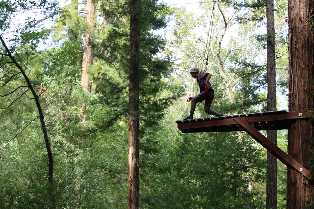 Person on a platform attached to a tree.