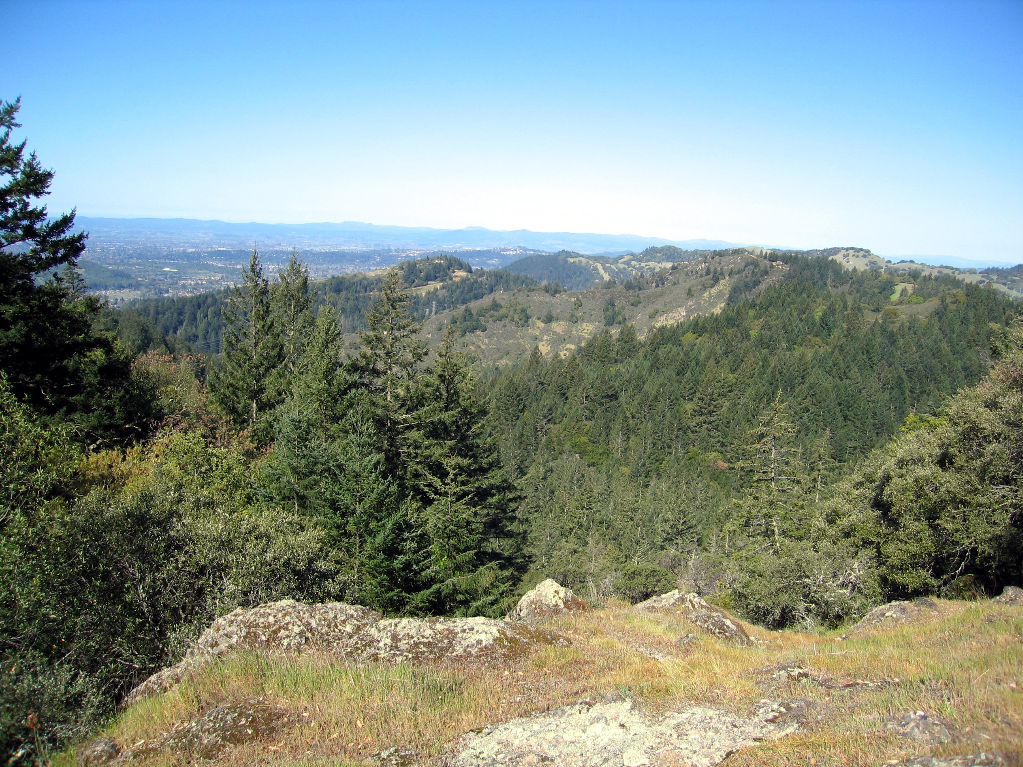 View of mountains and trees