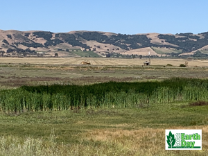 Photo of field with hills in the distance.