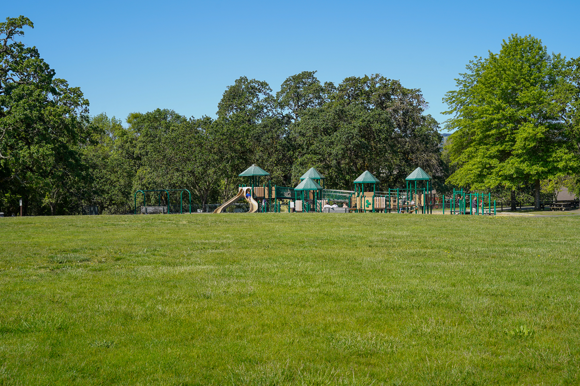 Field with playground and trees in the background.