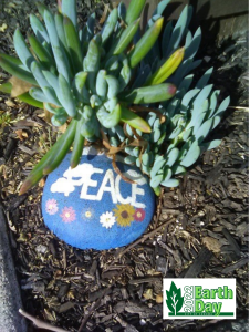 Photo of rock with the word "Peace" painted on it with succulents nearby.