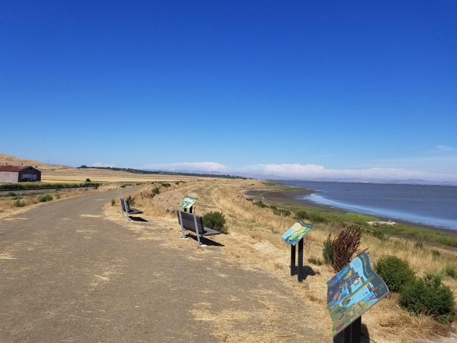 View of San Pablo Bay and informational signage.