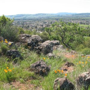 Overlook trail vista