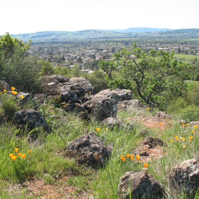 Sonoma Overlook Trail, California - 952 Reviews, Map