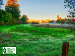 Photo of field with mist and houses in the distance.