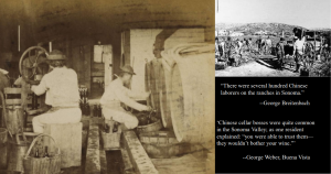 Historic photos of chinese laborers working in the wine industry with quotes.