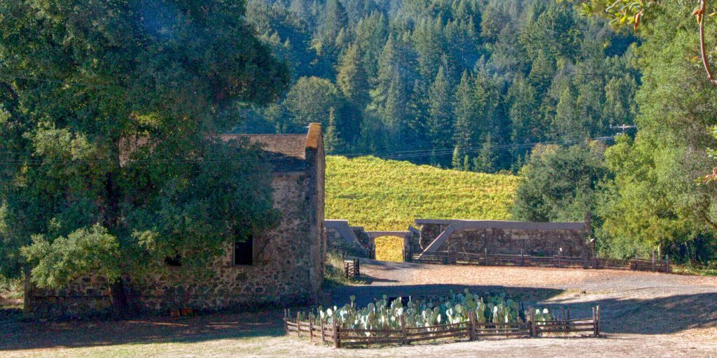 View of historic barn, cactus garden, vineyard and forest at Jack London State Park.