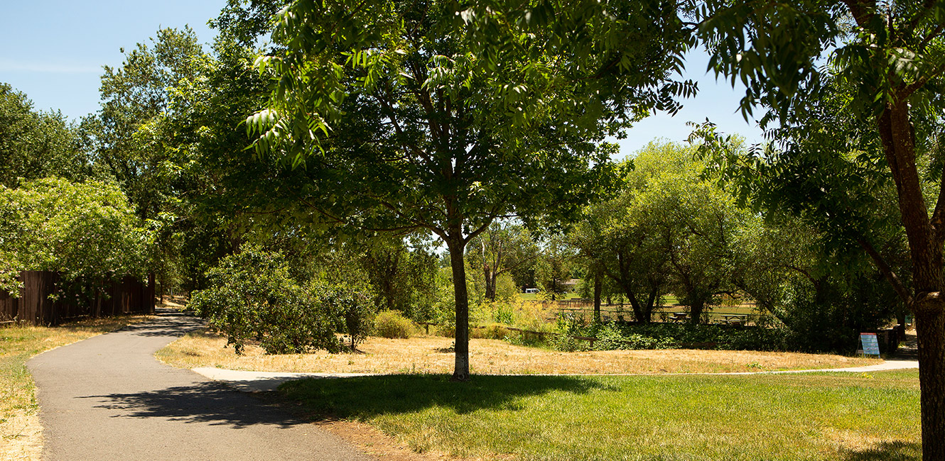 Bike and walking trail in a park.