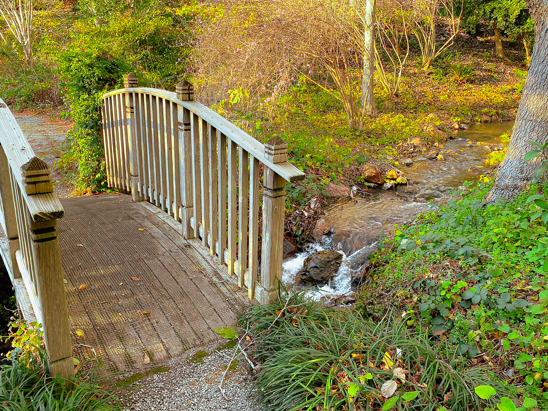 Bridge over creek with fall foliage.