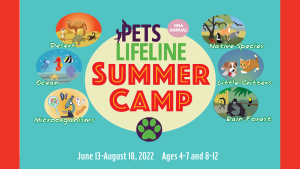 Graphic that displays Pets Lifeline Summer Camp offerings