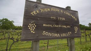 Vineyard sign