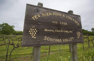 Vineyard sign