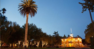 A historic building, palm tree and other trees full of twinkle lights.