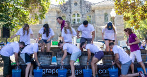 A row of people stomping grapes in half wine barrels.