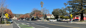 Photo of a pedestrian crossing on Broadway in Sonoma.