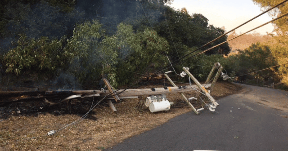 A power pole with power lines fallen on the ground with nearby vegetation smoldering.