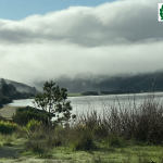 View of the ocean with tall grasses in the foreground and viewo f hills, clouds and sky.