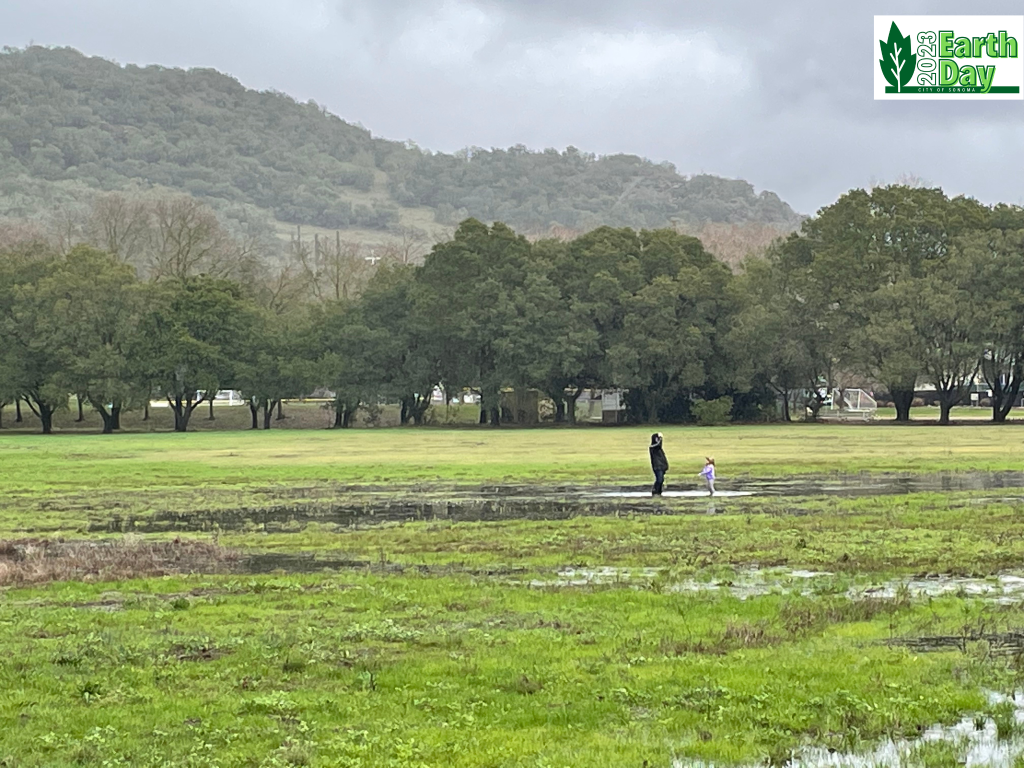 Seasonal wetlands with an adult and child splashing in the puddles with trees, hills and misty clouds.